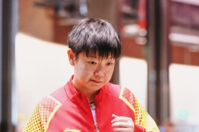 爱游戏娱乐官网包含莎拉波娃重返赛场，持续失利首场状态出色，MAD观众沸腾！的词条